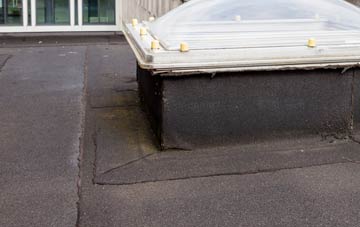 disadvantages of Giddeahall flat roofs