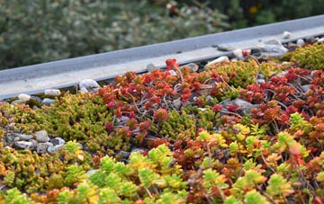 the cost of Giddeahall green roof installation