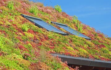 Giddeahall living roof systems