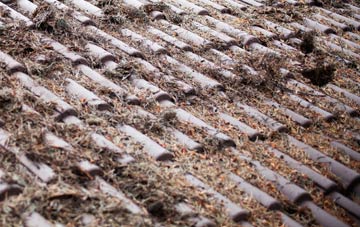 Giddeahall roof cleaning companies