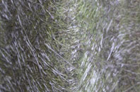 Giddeahall fibreglass roof work