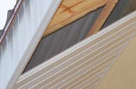 rated Giddeahall soffit repair companies